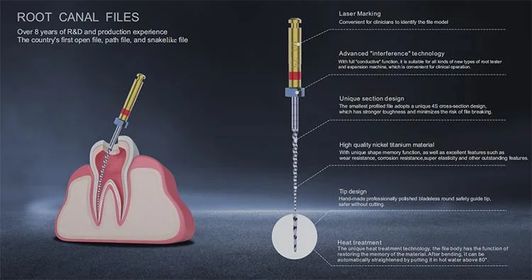 Dental Files Heat Activation Dental Root Canal Niti Files Packing Rotary Endo Files